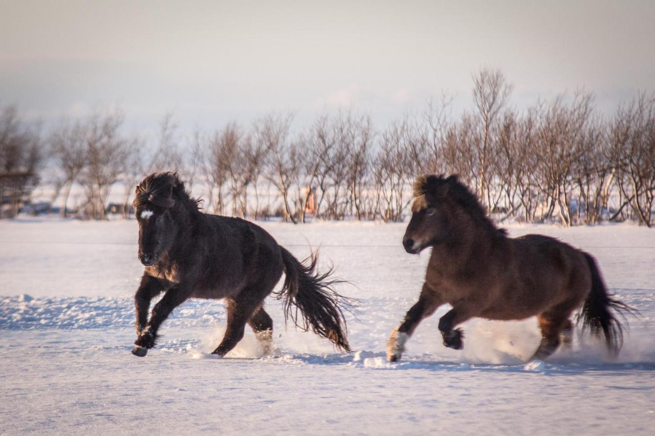 Rauthuskrithur Farm Holmabaeir Экстерьер фото
